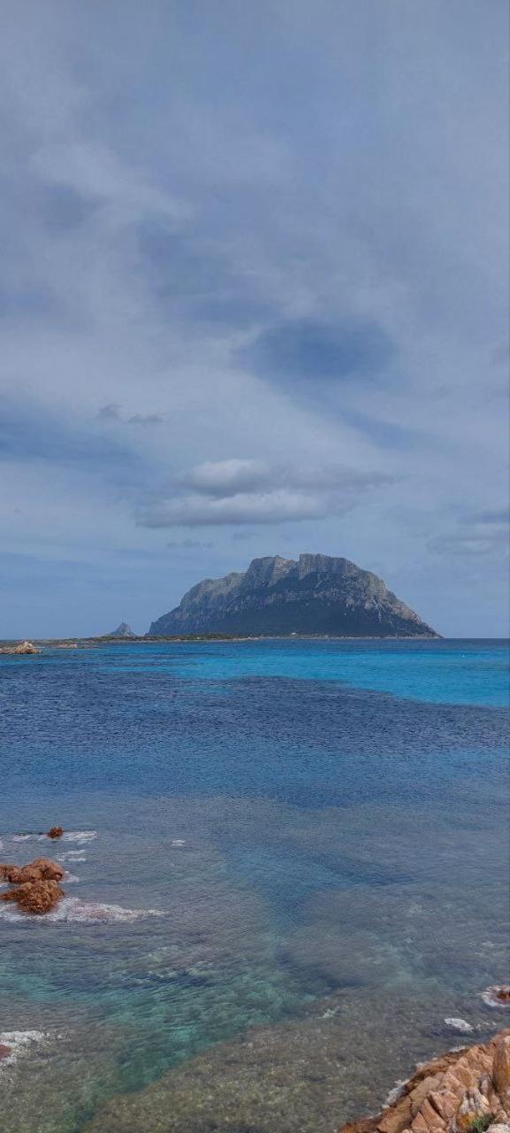 Porto San Paolo A 50 Mt Dal Mare Villa Bilik gambar