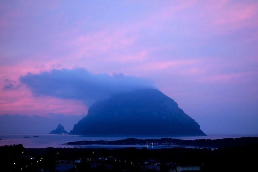 Porto San Paolo A 50 Mt Dal Mare Villa Bilik gambar