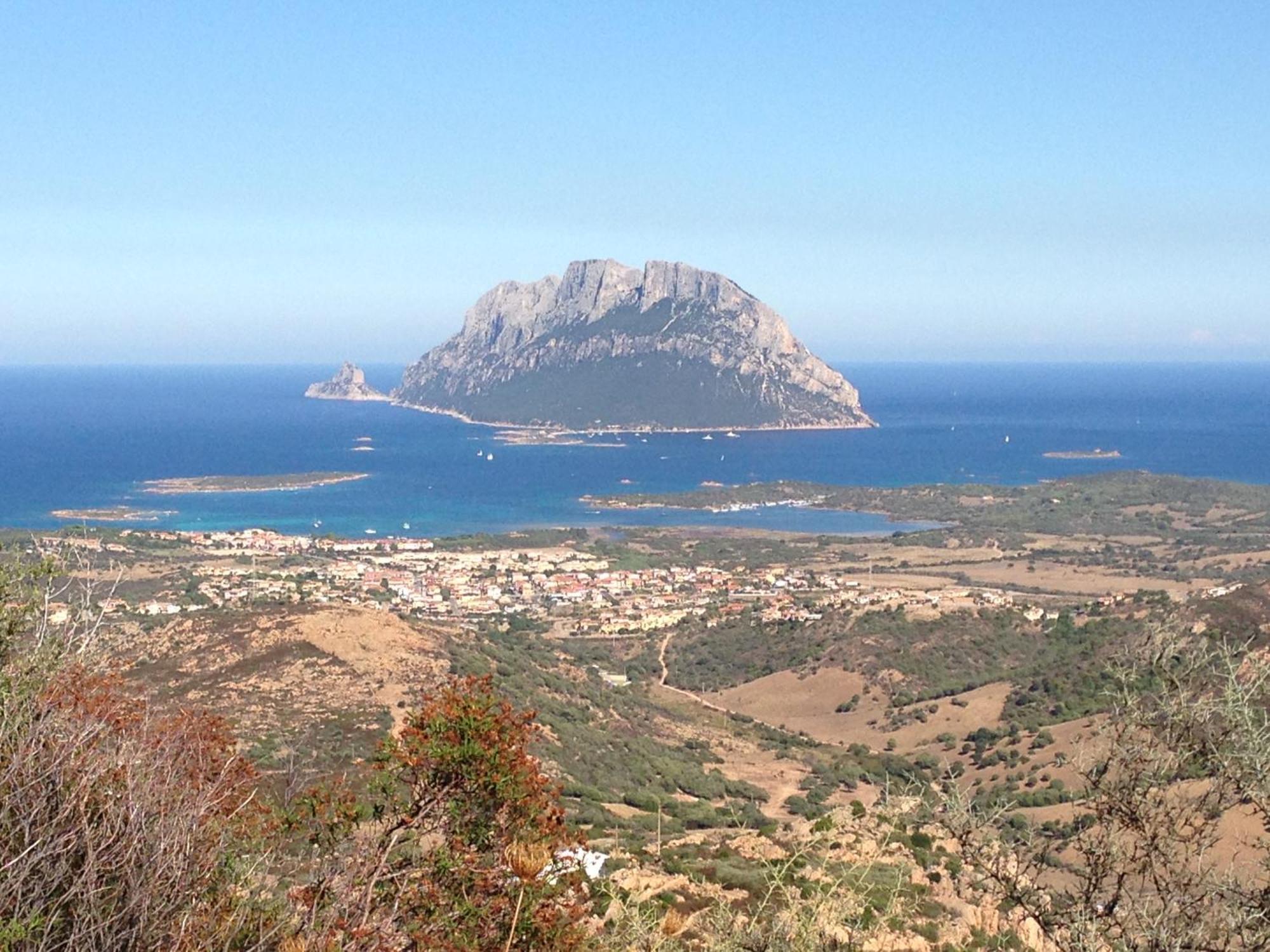 Porto San Paolo A 50 Mt Dal Mare Villa Bilik gambar